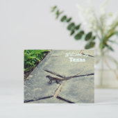 Texas Staat Postkarte (Stehend Vorderseite)