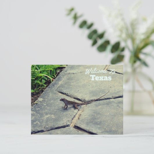 Texas Staat Postkarte (Stehend Vorderseite)