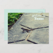 Texas Staat Postkarte (Vorne/Hinten)
