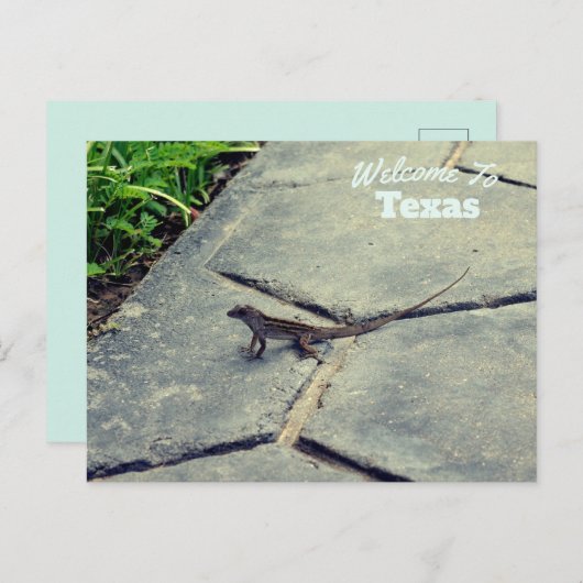 Texas Staat Postkarte (Vorne/Hinten)