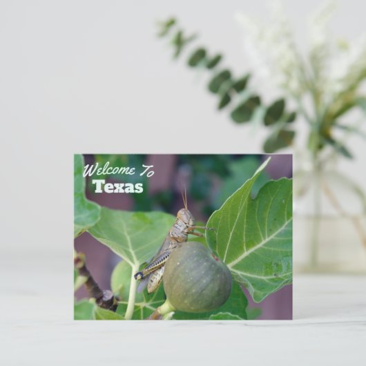 Texas Staat Postkarte (Stehend Vorderseite)