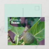 Texas Staat Postkarte (Vorne/Hinten)