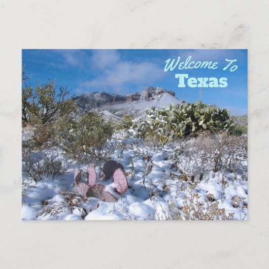 Texas Staat Postkarte (Vorderseite)