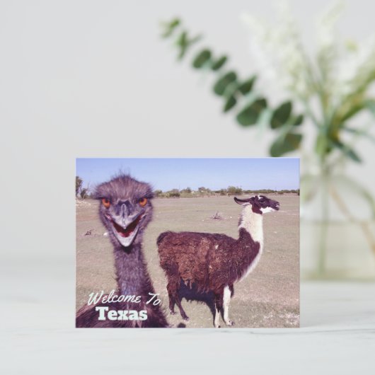 Texas Staat Postkarte (Stehend Vorderseite)