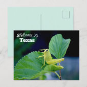 Texas Staat Postkarte (Vorne/Hinten)