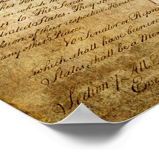 Texas Staat Siegel Reverse Poster (Ecke)