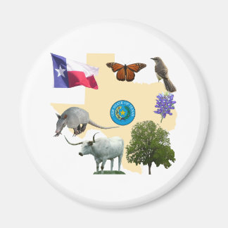 Texas Staat Symbole Magnet