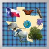 Texas Staat Symbole Poster (Vorne)