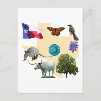 Texas Staat Symbole Postkarte