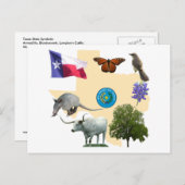 Texas Staat Symbole Postkarte (Vorne/Hinten)