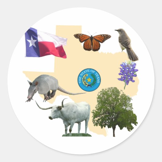 Texas Staat Symbole Runder Aufkleber (Vorderseite)