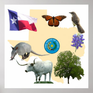 Texas-Staats-Symbole Poster