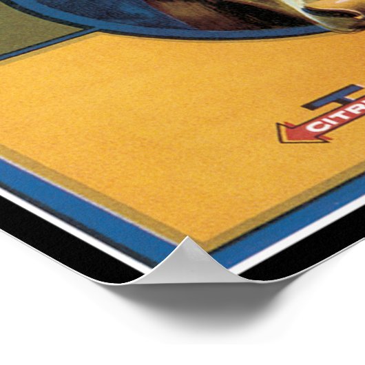 Texas Steer Longhorn Poster (Ecke)