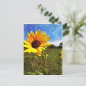 Texas Sunblumen von Jill Postkarte (Stehend Vorderseite)