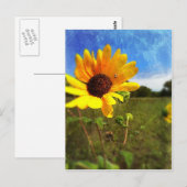 Texas Sunblumen von Jill Postkarte (Vorne/Hinten)