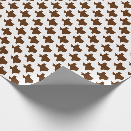 Texas-Symbole, Texas-Staat, braun Geschenkpapier (Ecke)