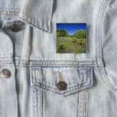Texas, Texas Hill Country, Low bladderpod, Button (Beispiel)