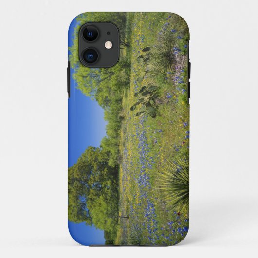 Texas, Texas Hill Country, Low bladderpod, Case-Mate iPhone Hülle (Rückseite)
