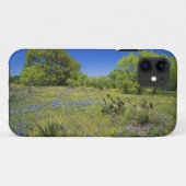 Texas, Texas Hill Country, Low bladderpod, Case-Mate iPhone Hülle (Rückseite (Horizontal))