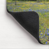 Texas, Texas Hill Country, Low bladderpod, Mousepad (Ecke)