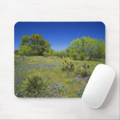 Texas, Texas Hill Country, Low bladderpod, Mousepad (Mit Mouse)