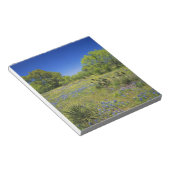 Texas, Texas Hill Country, Low Bladderpod, Notizblock (angewinkelt)