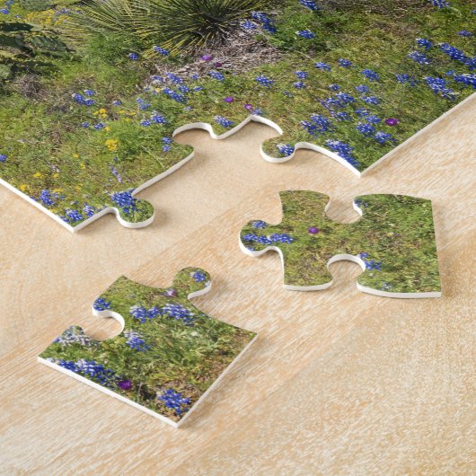 Texas, Texas Hill Country, Low bladderpod, Puzzle (Seite)