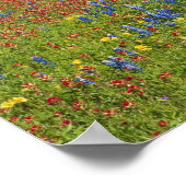 Texas, Texas Hill Country, Texas Malpinsel Poster (Ecke)