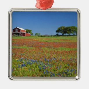 Texas, Texas Hill Country, Texas-Malvenblume Silbernes Ornament