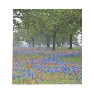 Texas, Texas Hill Country, Texas Paintbrush und Notizblock