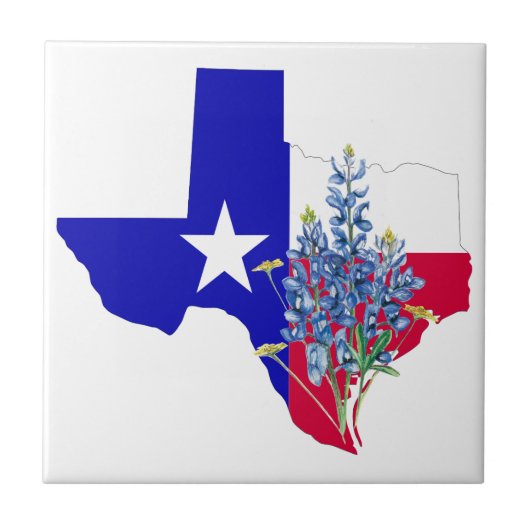 Texas und Bluebonnets Fliese (Vorderseite)