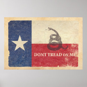 Texas- und Gadsdenflagge Poster