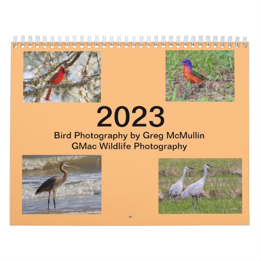 Texas-Vogelkalender 2023 Kalender (Titelbild)