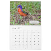 Texas-Vogelkalender 2023 Kalender (Jan 2027)