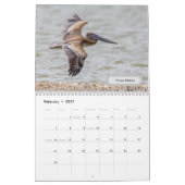 Texas-Vogelkalender 2023 Kalender (Feb 2027)