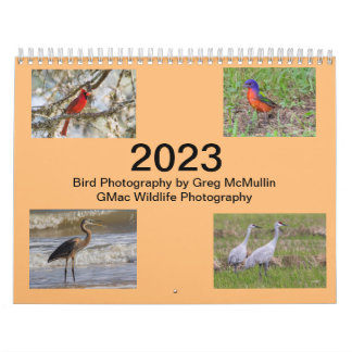 Texas-Vogelkalender 2023 Kalender