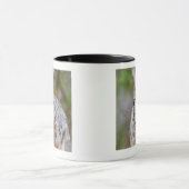 Texas-Waldkaninchenkaninchen Tasse (Zentrum)