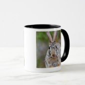 Texas-Waldkaninchenkaninchen Tasse (VorderseiteRechts)