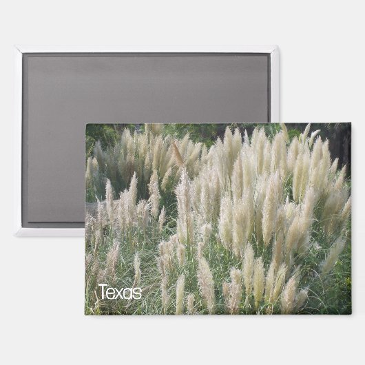 Texas Wild Blume Magnet (Vorderseite/Rückseite)