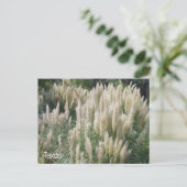 Texas Wild Blume Postkarte (Stehend Vorderseite)