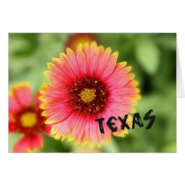 Texas-Wildblume (Vorderseite (Horizontal))