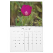 Texas Wildblume Fotokalender Kalender (Feb 2027)