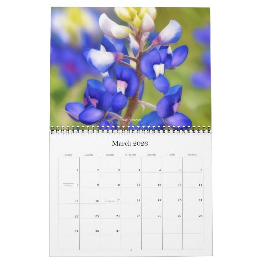 Texas Wildblume Fotokalender Kalender (Mär 2026)