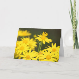 Texas-Wildblume: Goldenes Frühjahr Karte