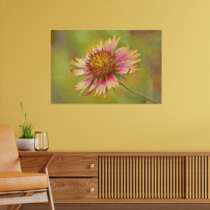 Texas-Wildblume Indian Blanket Firewheel Kunst Poster