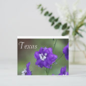 Texas-Wildblume Postcard-Lila Wildblume Postkarte (Stehend Vorderseite)