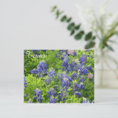 Texas-Wildblume Postcard-Texas-Bluebonnets Postkarte (Stehend Vorderseite)