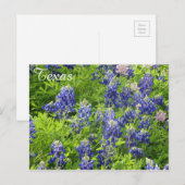 Texas-Wildblume Postcard-Texas-Bluebonnets Postkarte (Vorne/Hinten)