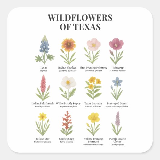 Texas-Wildblumen im Wasserfarbenstil Quadratischer Aufkleber (Vorderseite)