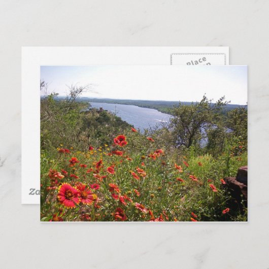 Texas-Wildblumen - Indischer Decken Postkarte (Vorne/Hinten)